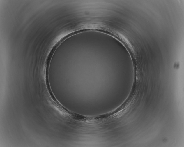 X0000095551035200712141550