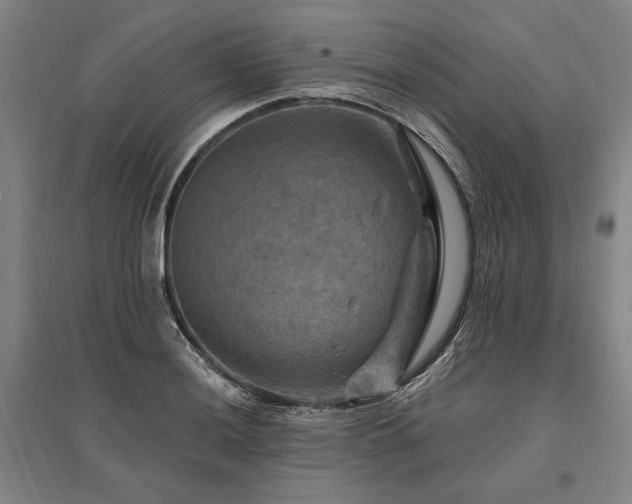 X0000095551036200712141550