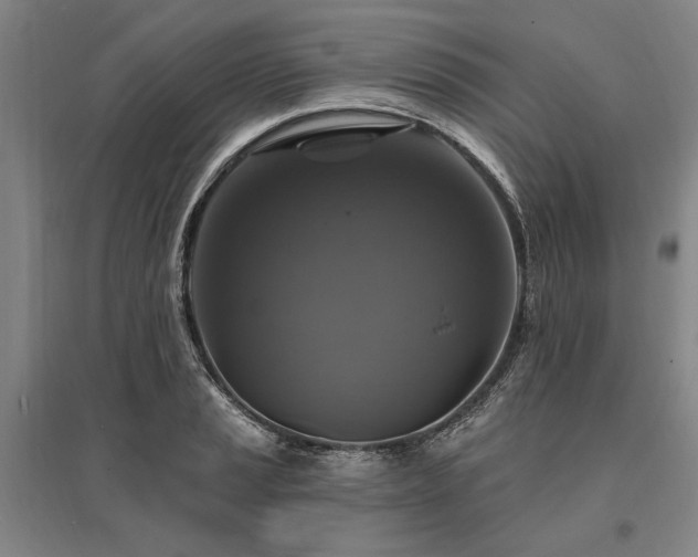 X0000095551037200712141550