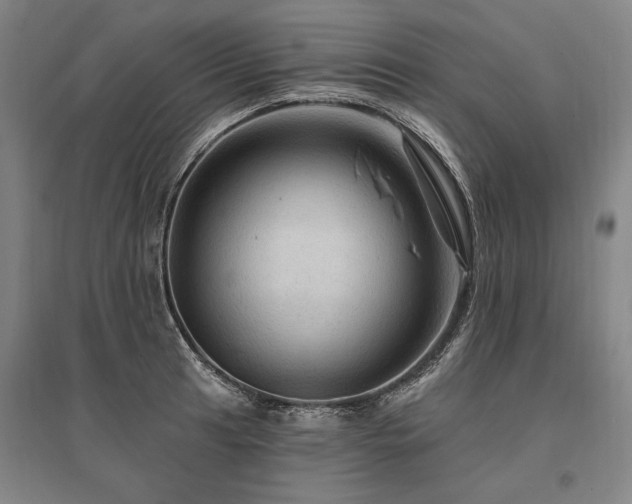 X0000095551041200712141550