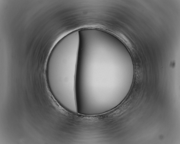 X0000095551044200712141550