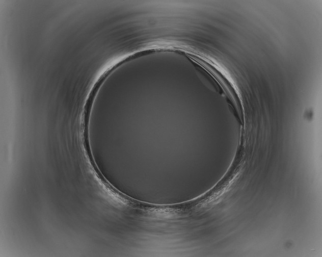 X0000095551045200712141550