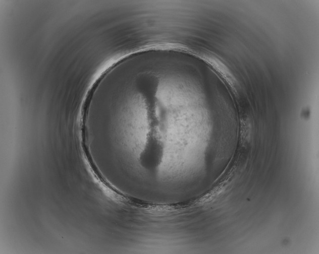 X0000095551046200712141550