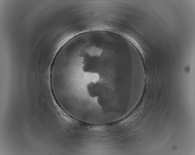 X0000095551047200712141551