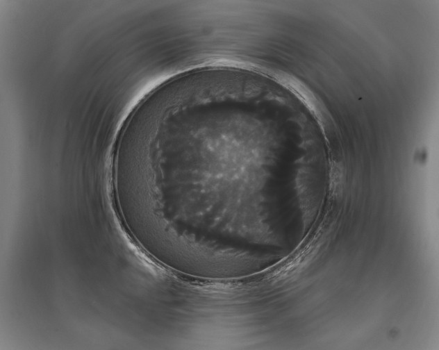 X0000095551048200712141551