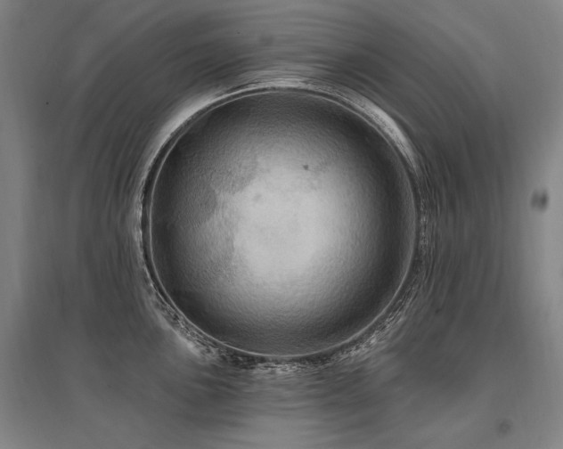 X0000095551051200712141551