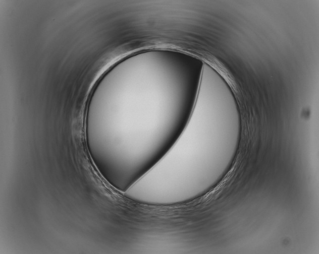 X0000095551052200712141551