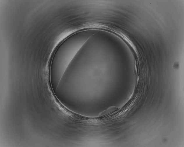 X0000095551053200712141551