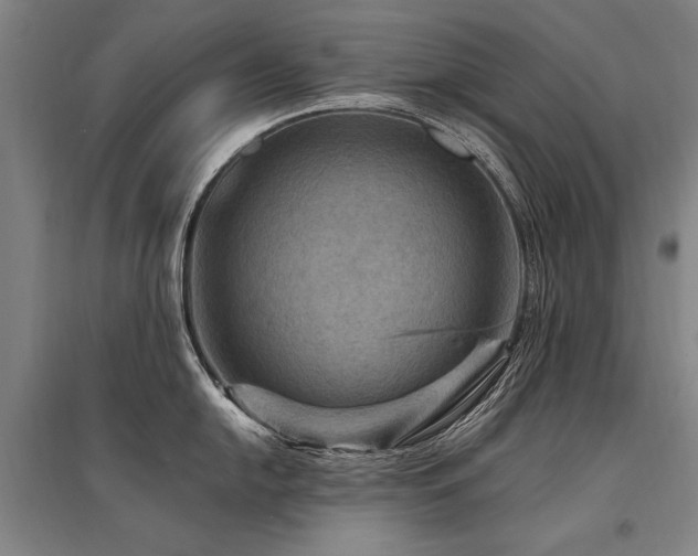 X0000095551054200712141551