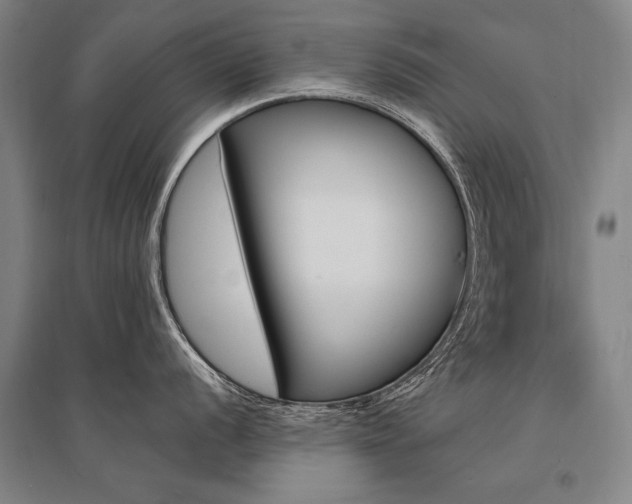 X0000095551056200712141551