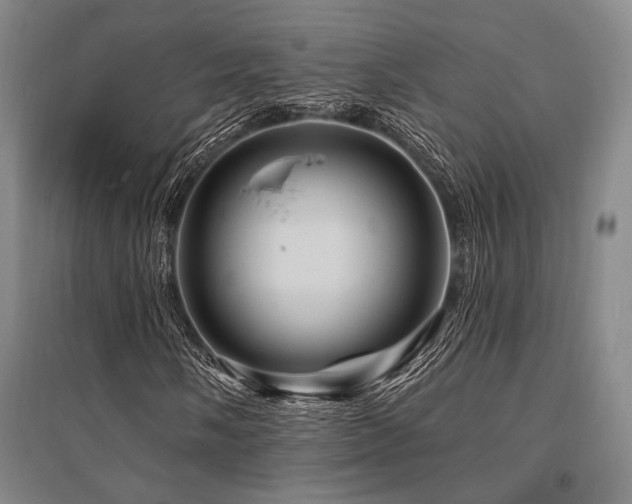 X0000095551058200712141550