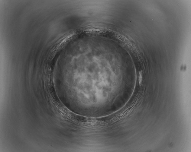 X0000095551059200712141550