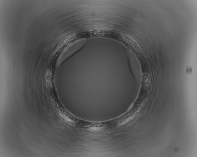 X0000095551060200712141550