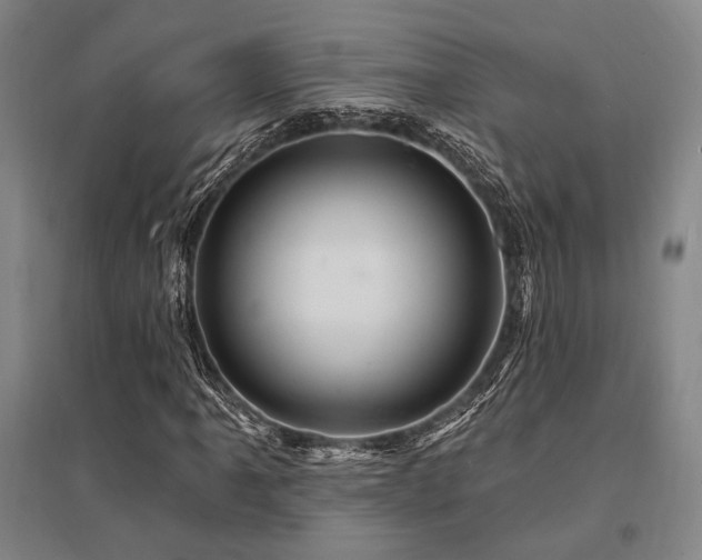 X0000095551061200712141550