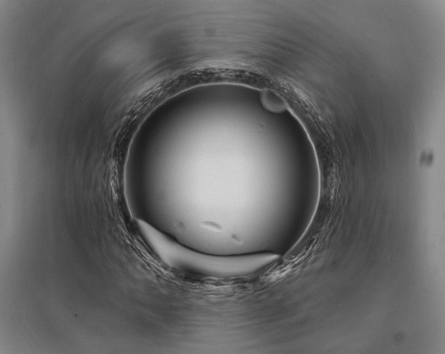 X0000095551062200712141550