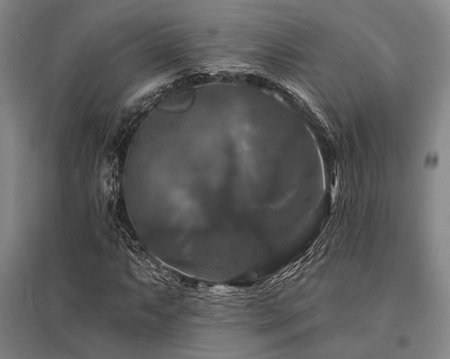 X0000095551063200712141550