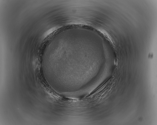 X0000095551064200712141550