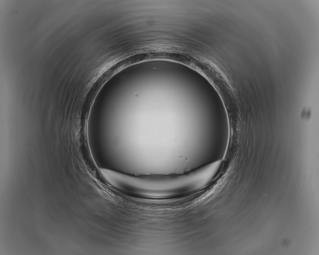 X0000095551065200712141550