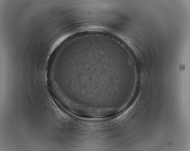 X0000095551066200712141550