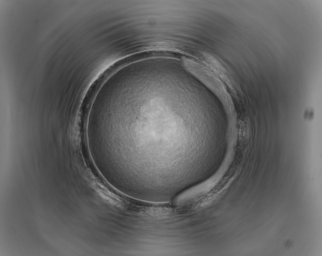 X0000095551068200712141550