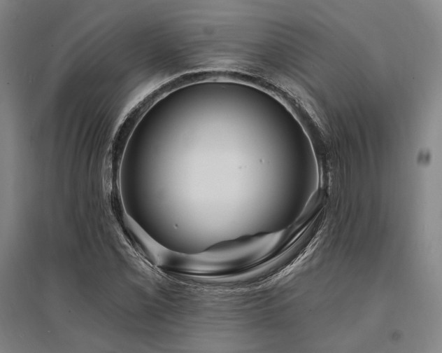 X0000095551069200712141550