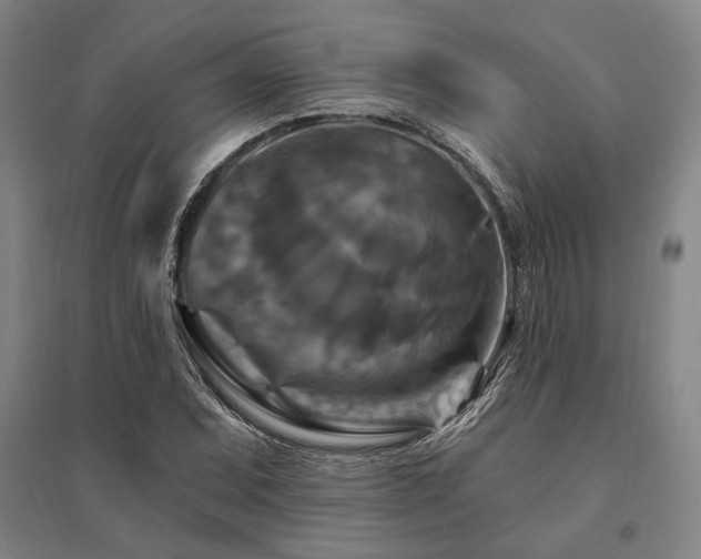 X0000095551071200712141550