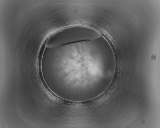 X0000095551072200712141550