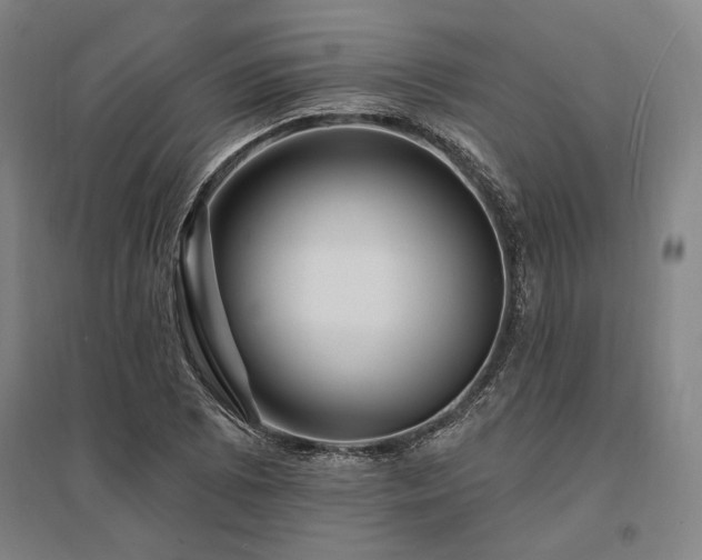 X0000095551073200712141550