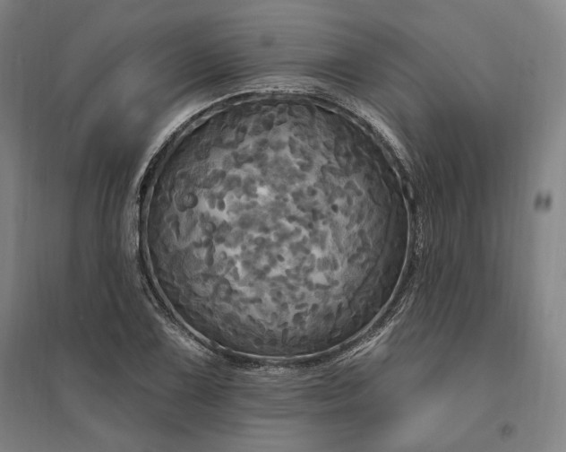 X0000095551075200712141550