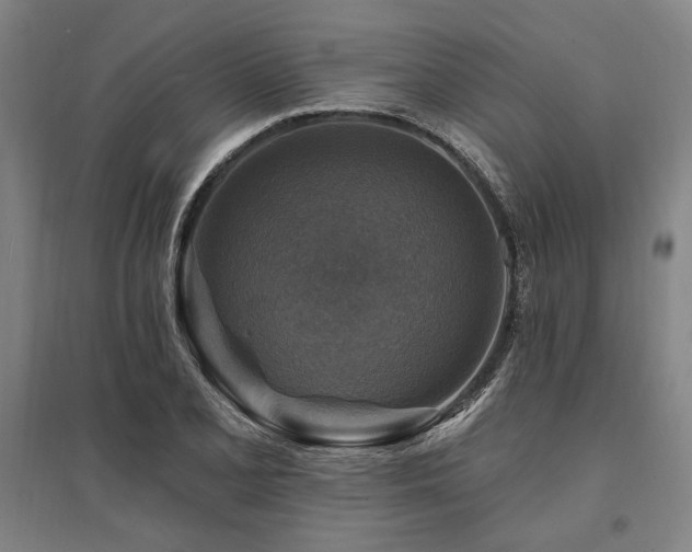 X0000095551077200712141550