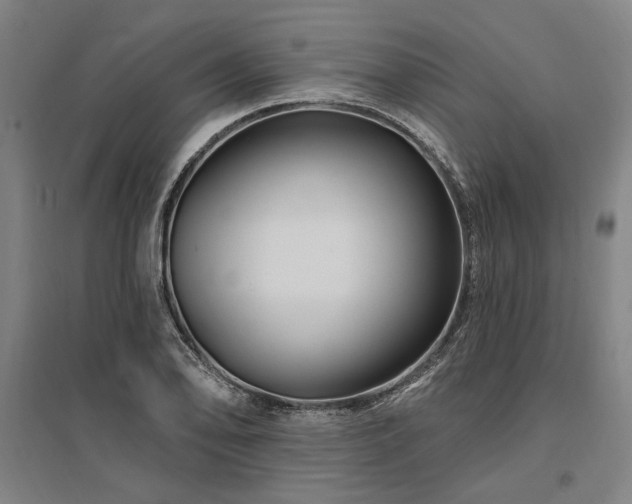 X0000095551078200712141550