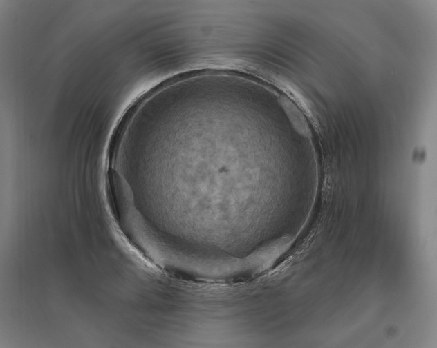 X0000095551080200712141550