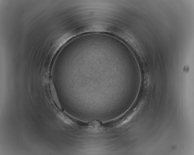 X0000095551081200712141550