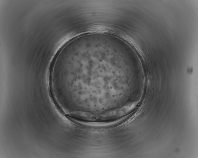 X0000095551083200712141550