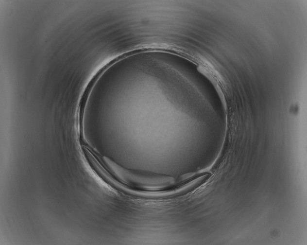 X0000095551084200712141550