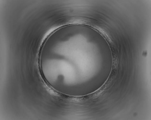 X0000095551086200712141550