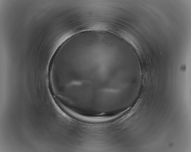 X0000095551087200712141550