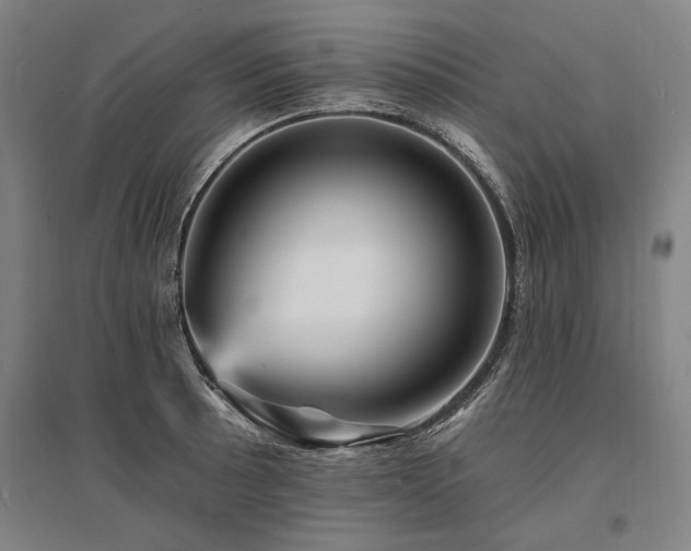 X0000095551089200712141550