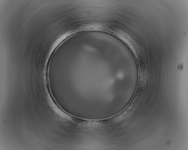 X0000095551090200712141550