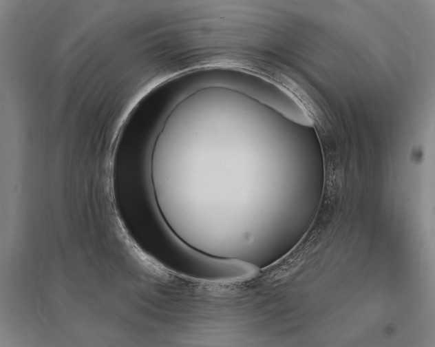 X0000095551092200712141549