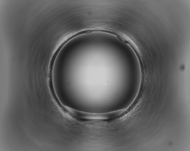 X0000095551093200712141549