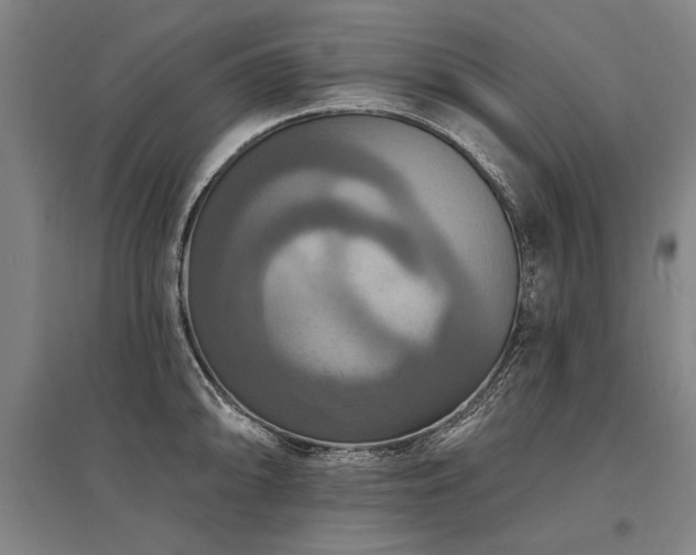 X0000095551094200712141549