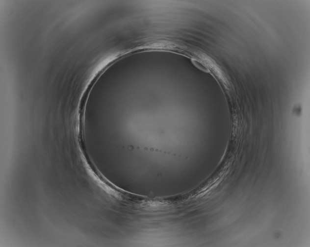 X0000095551095200712141549