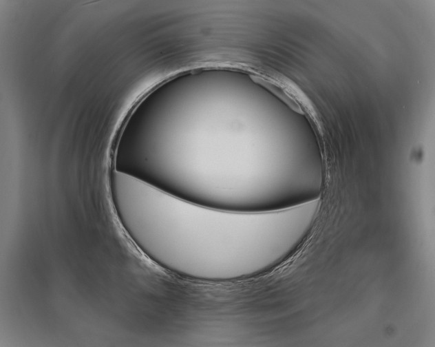 X0000095551096200712141549