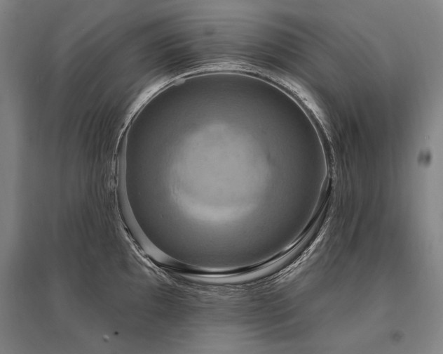 X0000095551097200712141549
