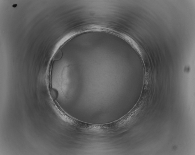 X0000095551098200712141549