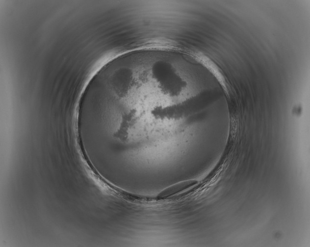 X0000095551099200712141549