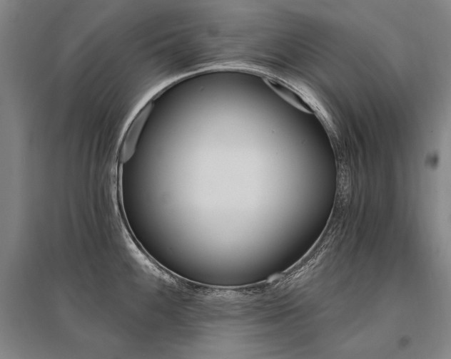 X0000095551100200712141549