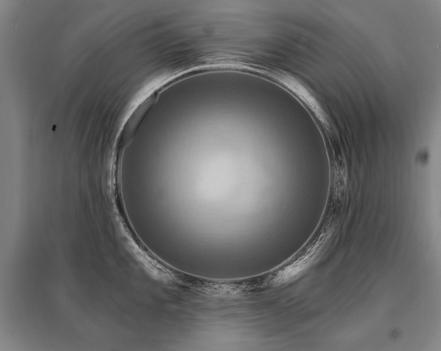 X0000095551101200712141549