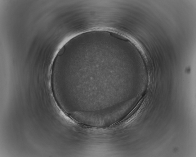 X0000095551102200712141549